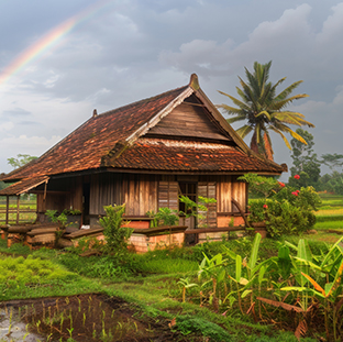 Kerala – Gods Own Country